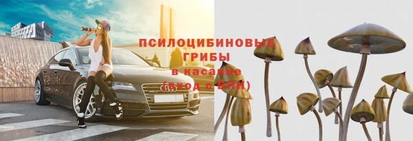 ГАЛЛЮЦИНОГЕННЫЕ ГРИБЫ Бронницы