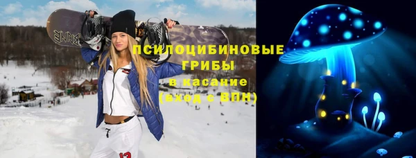 прущие грибы Бугульма