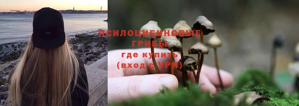 a pvp Бородино