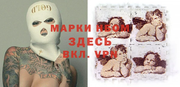 прущие грибы Бугульма