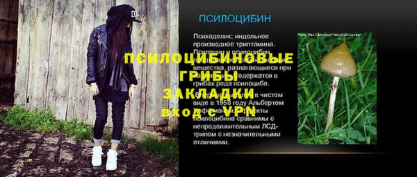 a pvp Бородино