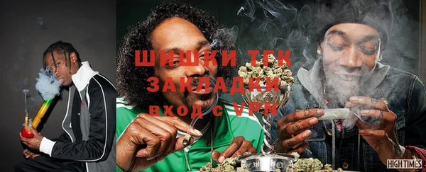 прущие грибы Бугульма