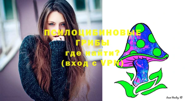 ГАЛЛЮЦИНОГЕННЫЕ ГРИБЫ Бронницы