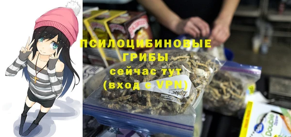 ГАЛЛЮЦИНОГЕННЫЕ ГРИБЫ Бронницы