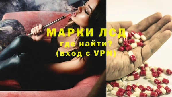 a pvp Бородино
