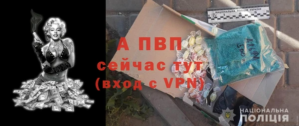 a pvp Бородино
